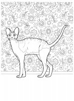 disegni/gatti/gatti_cats_ 22.jpg